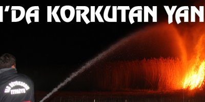 Van'da korkutan yangın