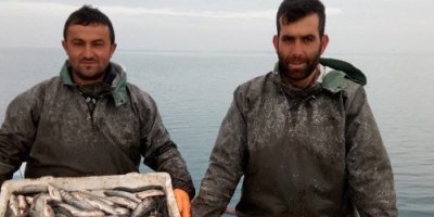 Van Gölü’nde yaşayan inci kefali balığı tescillendi