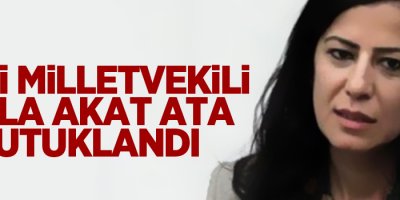 Eski Milletvekili Ayla Akat Ata tutuklandı