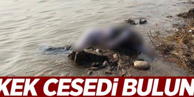 Erkek cesedi bulundu