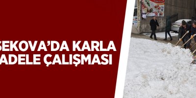 Yüksekova'da Kar Temizleme Çalışması