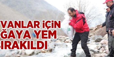 Yaban hayvanları için doğaya yem bırakıldı