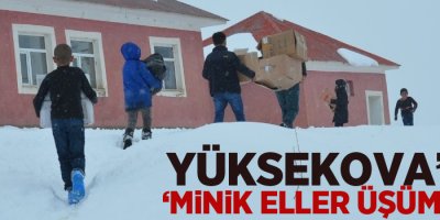 Yüksekova'da ''Minik eller üşümesin''