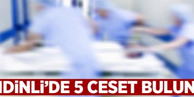 Şemdinli'de 5 ceset bulundu!