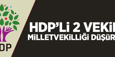 Ahmet Yıldırım ve İbrahim Ayhan'ın milletvekilliği düşürüldü