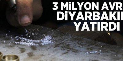 Zor yolu seçti 3 milyon avroyu Diyarbakır’a yatırdı