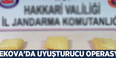Yüksekova'da uyuşturucu operasyonu