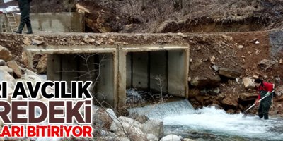 Aşırı avcılık deredeki balıkları bitiriyor