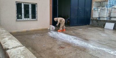 Kargodan gelen koli zehirledi