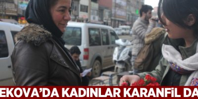 Yüksekova’da kadınlar karanfil dağıttı