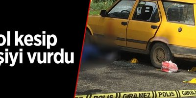 Yol kesip 3 kişiyi vurdu