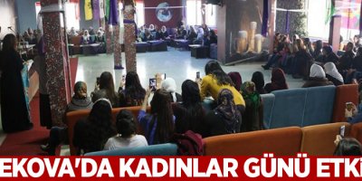 Yüksekova'da kadınlar günü etkinliği