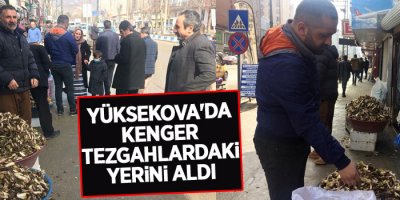 Yüksekova'da kenger tezgahlardaki yerini aldı