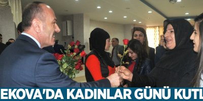 Yüksekova'da kadınlar Günü Kutlandı