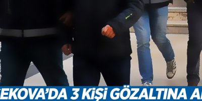 Yüksekova'da 3 kişi gözaltına alındı!