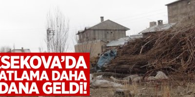 Yüksekova'da Bir Patlama daha: 1 Yaralı