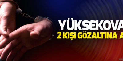 Yüksekova'da 2 kişi gözaltına alındı
