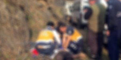 Yaşlı adam yol kenarında ölü bulundu