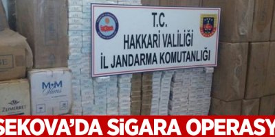 Yüksekova'da 830 paket sigara ele geçirildi