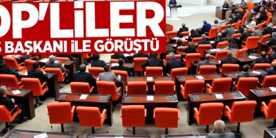 HDP'liler Meclis Başkanı ile görüştü