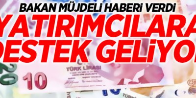 Bakan Fakıbaba: 'Yatırımcılarımıza yüzde 50 hibe desteği veriyoruz''