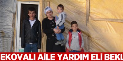 Yüksekovalı aile yardım eli bekliyor