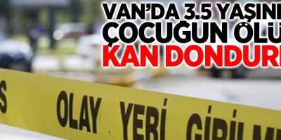 Van'da 3.5 yaşındaki çocuğun ölümü kan dondurdu!