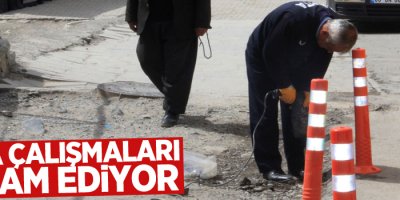 Hakkari’de duba çalışmaları sürüyor