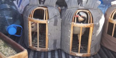 Van'da bunu yapanlara ceza yağdı!