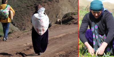 Pancar için kilometreler kat ediyorlar