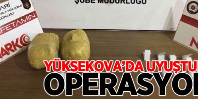 Yüksekova'da uyuşturucu operasyonu