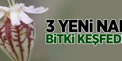 Ödüllü botanikçi 3 yeni nakıl bitkisi keşfetti