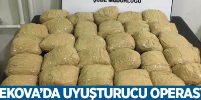 Yüksekova’da uyuşturucu operasyonu
