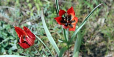 Bunu yapan yandı! Cezası 48 bin TL...