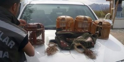 Van’da kafes avcılarına operasyon