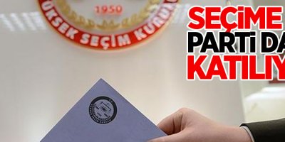 Karar çıktı! Bir parti daha seçime katılıyor