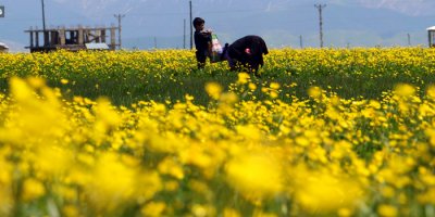 Yüksekova eşsiz güzelliğe büründü
