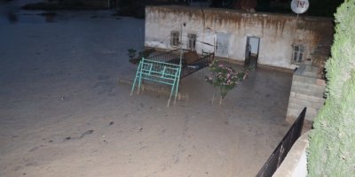 Evleri su bastı, hayvanlar telef oldu