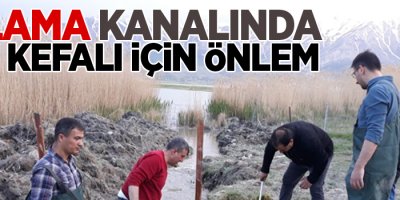 Sulama kanalında inci kefali için önlem