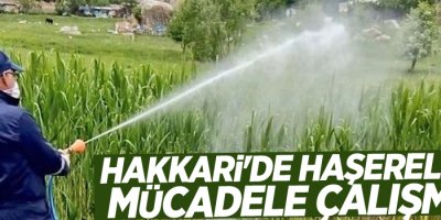 Hakkari'de haşerelerle mücadele çalışması