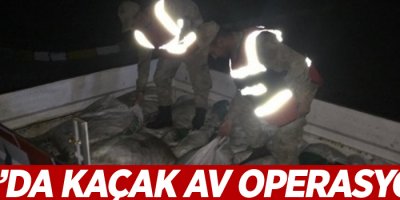 8,5 ton kaçak avlanmış inci kefali balığı ele geçirildi