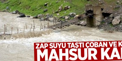 Zap Suyu taştı, çoban ve keçiler mahsur kaldı