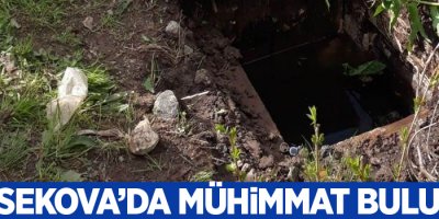 Yüksekova'da mühimmat ele geçirildi