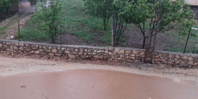 Şiddetli yağış ekinlere zarar verdi