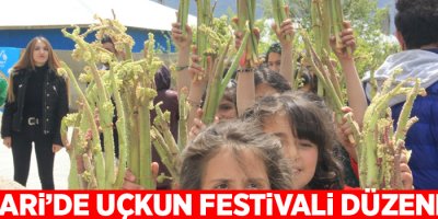 Hakkari’de '2. Uçkun festivali” düzenlendi
