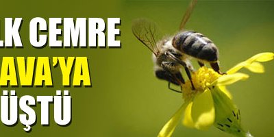 İlk cemre havaya düştü