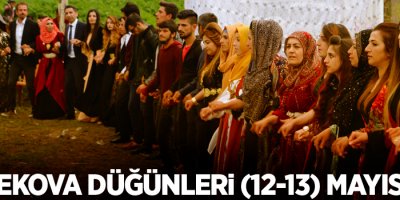 Yüksekova Düğünleri (12-13) Mayıs 2018