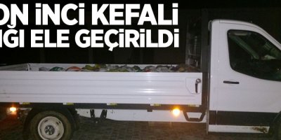 3 ton inci kefali balığı ele geçirildi