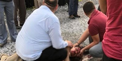 'Kaplumbağa ölmesin' diye...