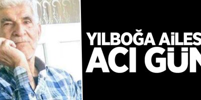 Yılboğa ailesinin acı günü